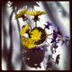 Illustration for article titled Shooting Challenge: Instagram 1